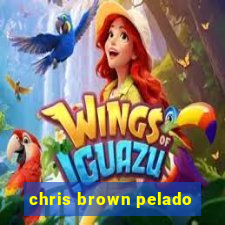 chris brown pelado